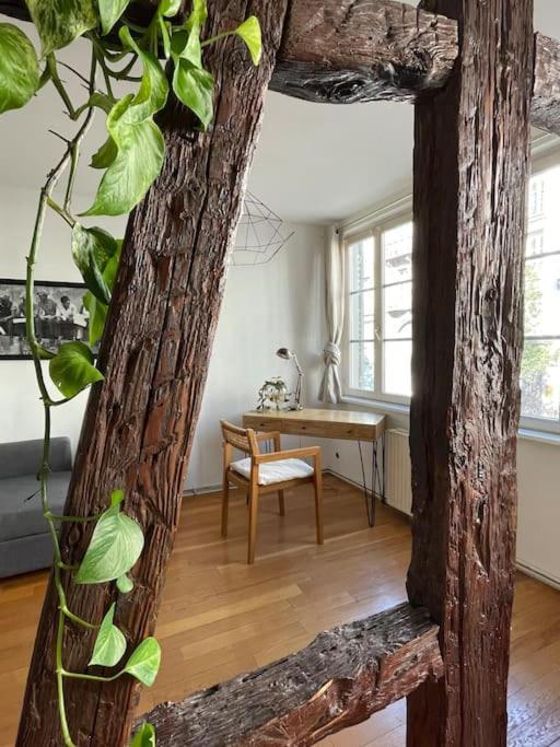Appartement 2 Chambres Au Coeur De Strasbourg Extérieur photo