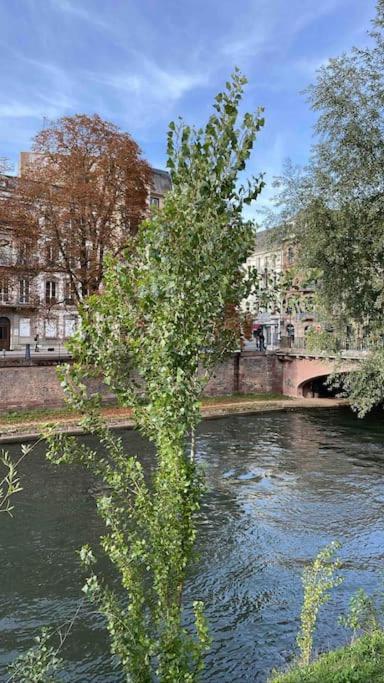 Appartement 2 Chambres Au Coeur De Strasbourg Extérieur photo